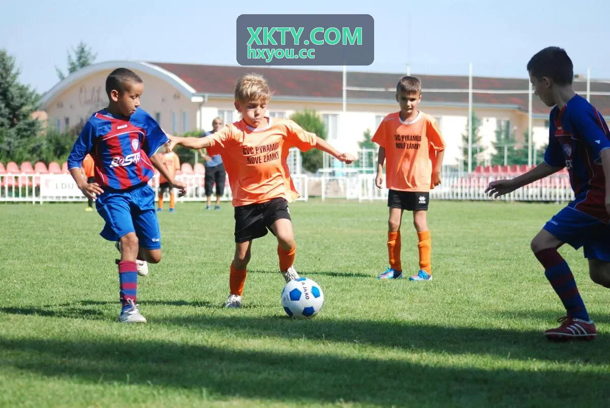 XKTY.COM 数据报告库与指标查询界面示意