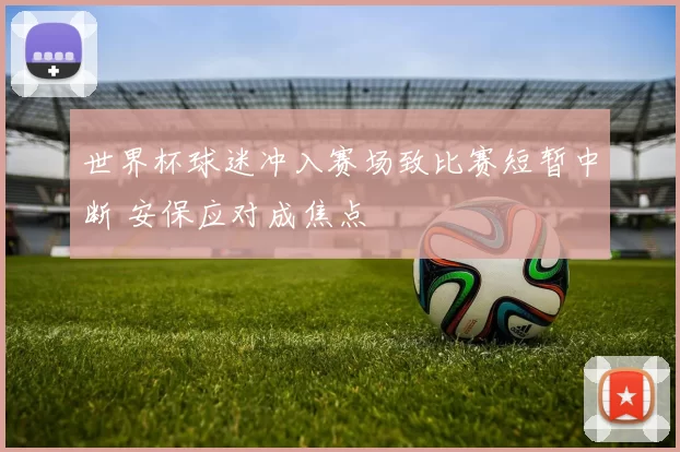 世界杯球迷冲入赛场致比赛短暂中断 安保应对成焦点