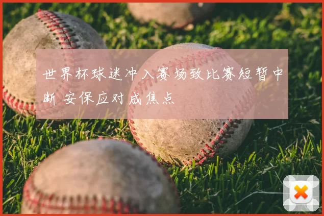 世界杯球迷冲入赛场致比赛短暂中断 安保应对成焦点