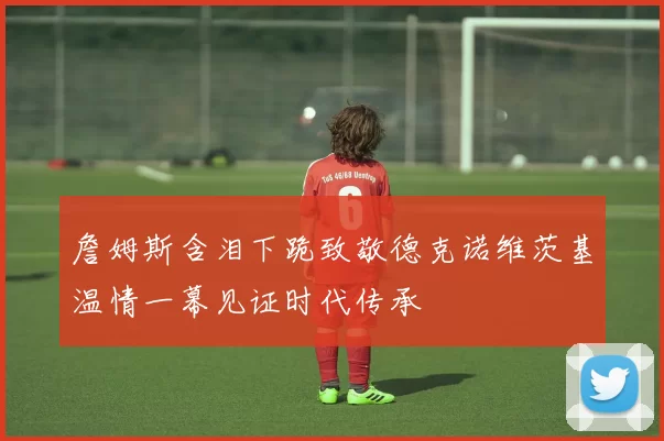 詹姆斯含泪下跪致敬德克诺维茨基温情一幕见证时代传承