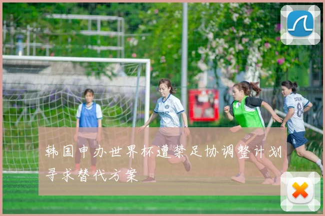 韩国申办世界杯遭禁足协调整计划寻求替代方案
