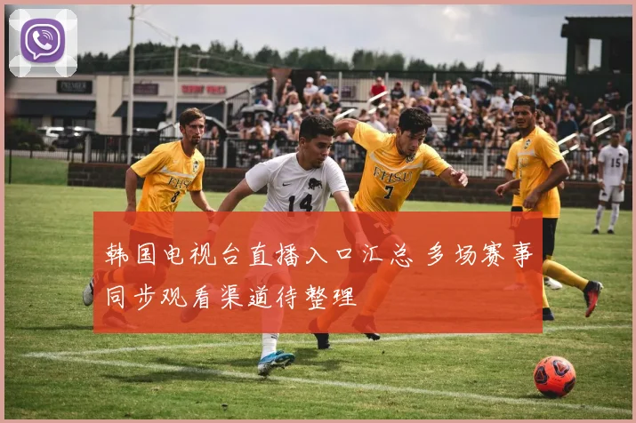 韩国电视台直播入口汇总 多场赛事同步观看渠道待整理